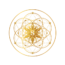 Menu icon