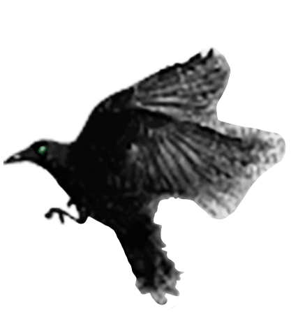 Crystal Raven