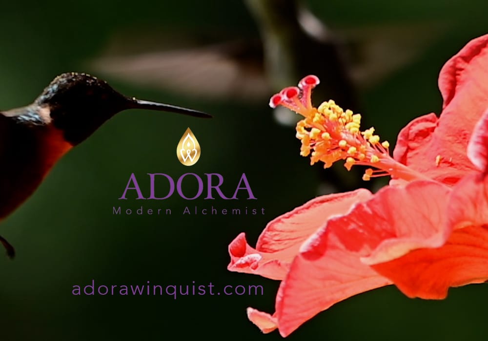 Adora-Winquist-Modern-Alchemist-Hummer