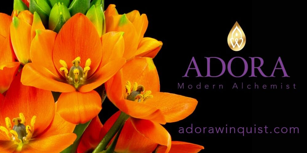 Adora-Winquist-Modern-Alchemist-Orange Adora-Winquist-Modern-Alchemist-Orange
