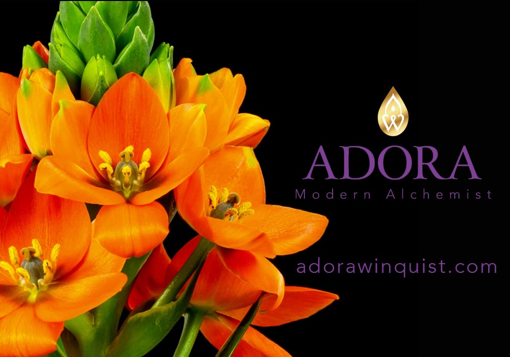 Adora-Winquist-Modern-Alchemist-Orange